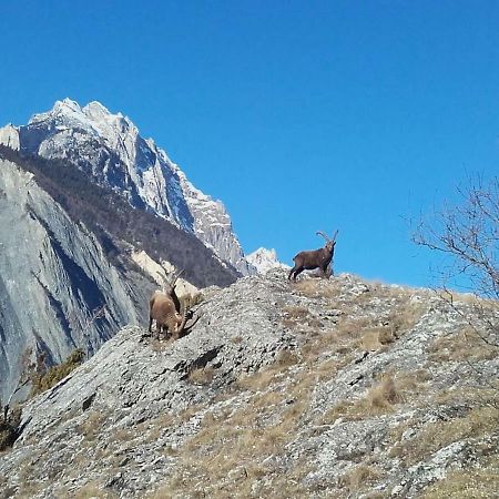 Location Vacances Saint Michel De Maurienne "Le Dahu" Appartement Buitenkant foto